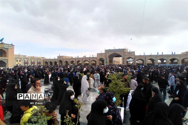مشهد مقدس در سالروز شهادت امام رضا(ع)