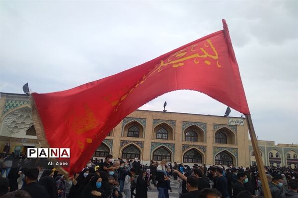 مشهد مقدس در سالروز شهادت امام رضا(ع)