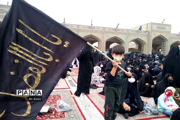مشهد مقدس در سالروز شهادت امام رضا(ع)