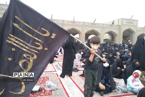 مشهد مقدس در سالروز شهادت امام رضا(ع)