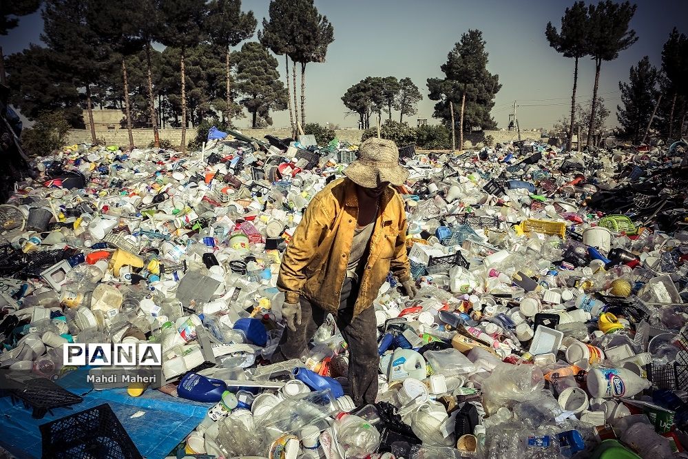 جایی میان زباله‌ها
