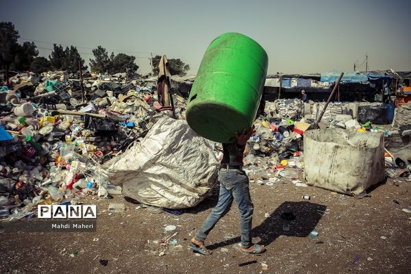 جایی میان زباله‌ها