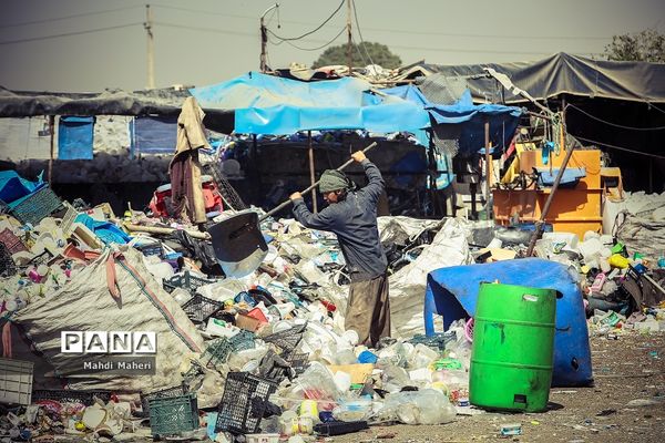 جایی میان زباله‌ها