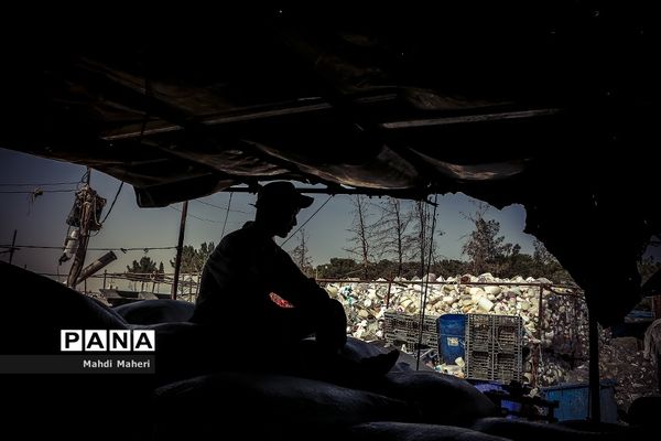 جایی میان زباله‌ها