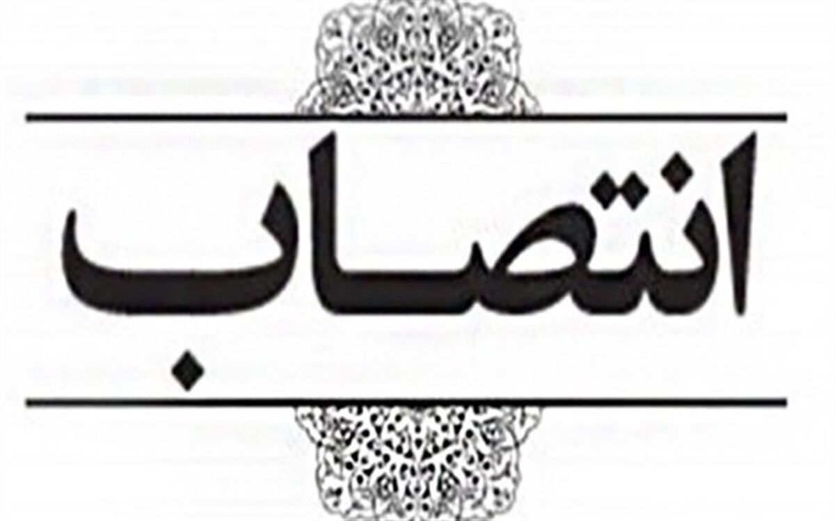 «مشاور امور علمی و توسعه بخشی به ارتباطات مؤثر با دانشگاه‌ها و مراکز پژوهشی»، سازمان پژوهش منصوب شد