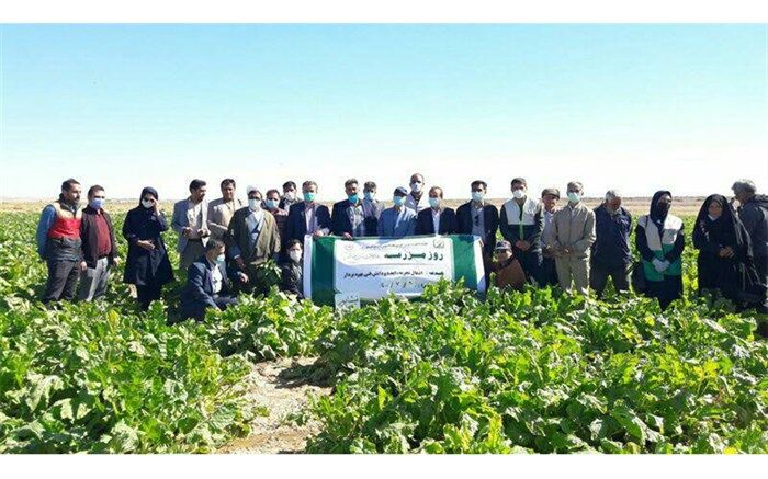 برگزاری روز مزرعه کشت نشایی چغندرقند در نیشابور