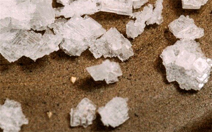 نمک مانع از رشد تومورها می‌شود؟