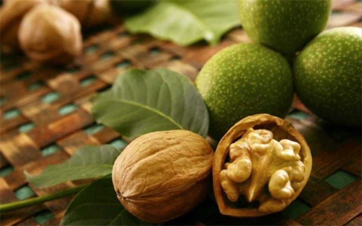 برابری صادرات گردو با نفت