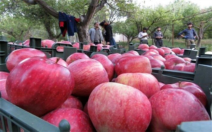 ضرورت احداث جایگاه‌های سوخت ماشین آلات کشاورزی در روستاها