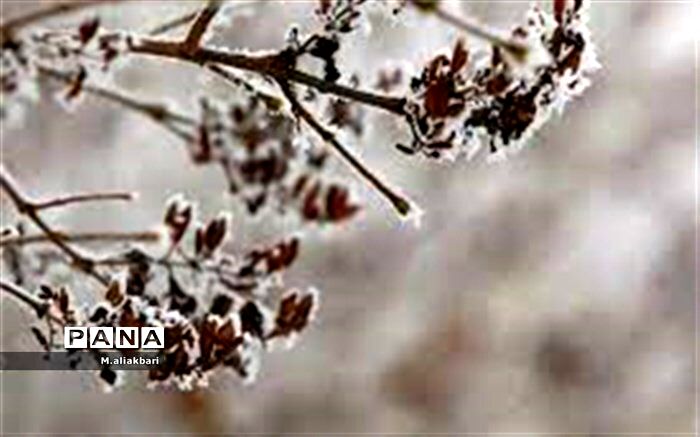 بیرجند دومین مرکز استان سرد کشور
