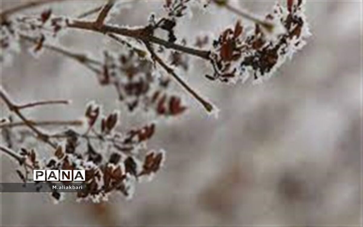 بیرجند دومین مرکز استان سرد کشور