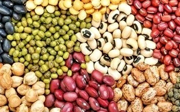 تولید 8 هزار تن انواع حبوبات در اردبیل
