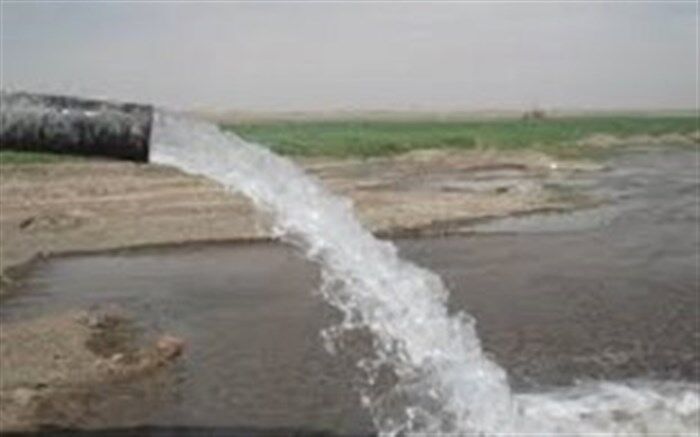 وجود انگل در آب تکذیب شد