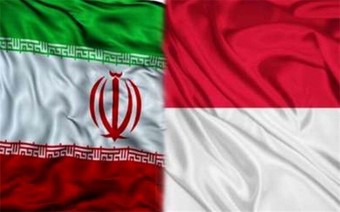 تاکید ایران و اندونزی بر توجه به پناهندگان افغان