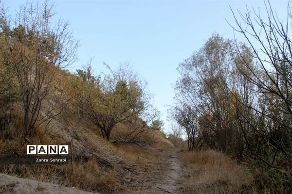 طبیعت پاییزی روستای کهک شهرستان غرق‌آباد