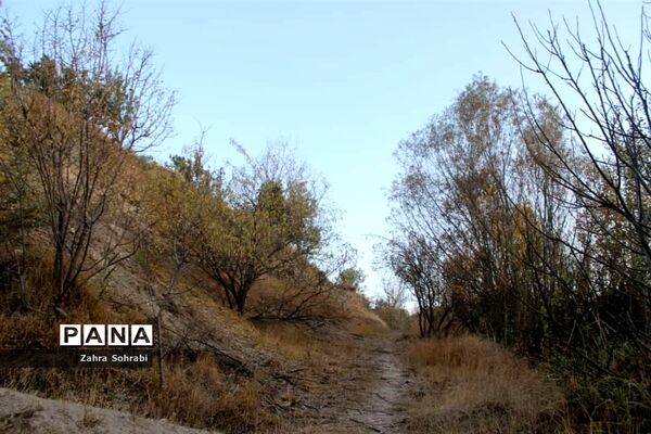 طبیعت پاییزی روستای کهک شهرستان غرق‌آباد