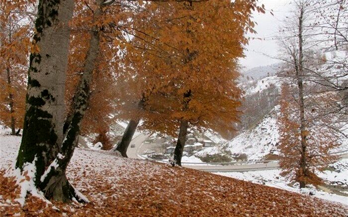 برف و یخبندان محورهای کوهستانی رضوانشهر در غرب گیلان را فرا گرفت
