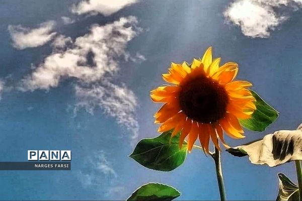 طبیعت پاییزی در روستاهای الگان و کهندان