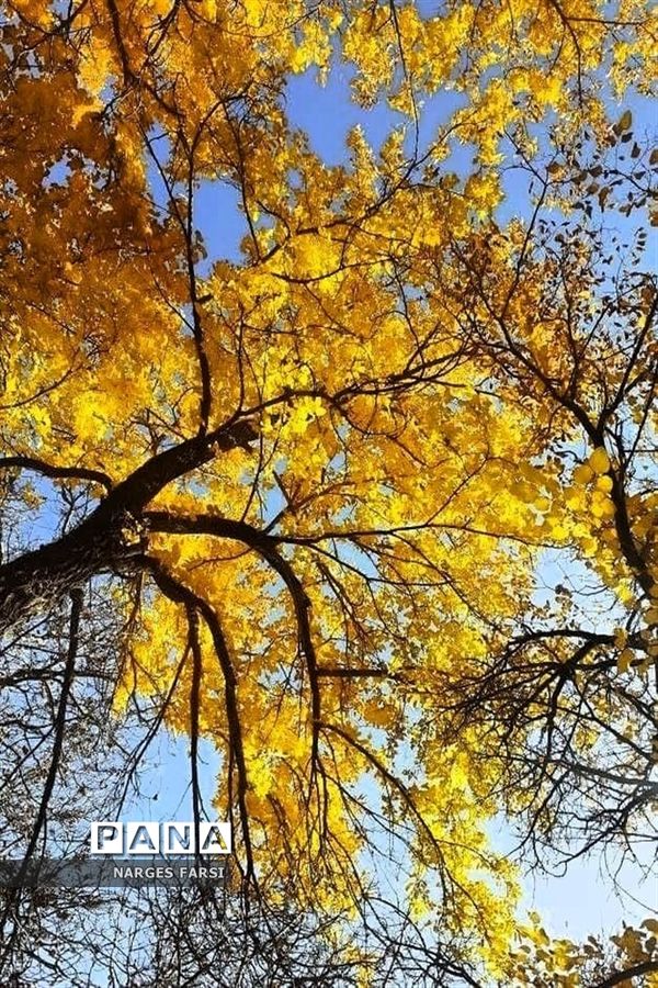 طبیعت پاییزی در روستاهای الگان و کهندان