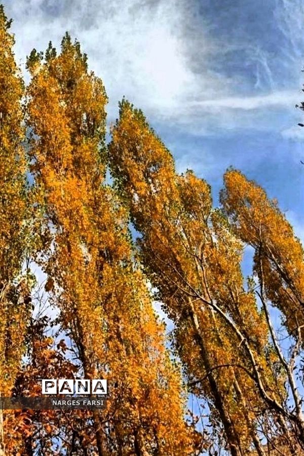 طبیعت پاییزی در روستاهای الگان و کهندان