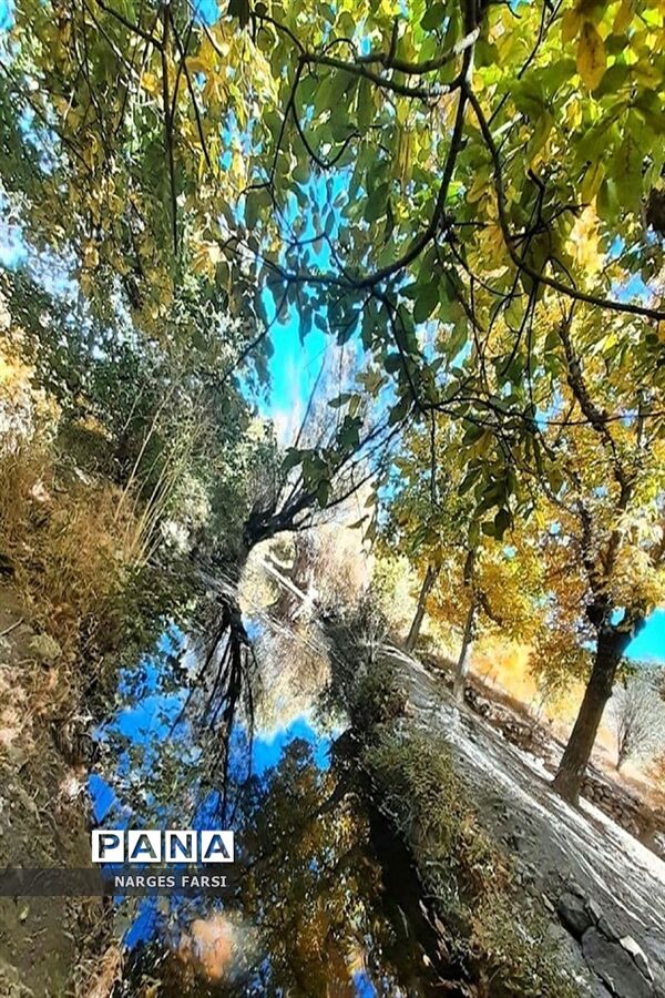 طبیعت پاییزی در روستاهای الگان و کهندان