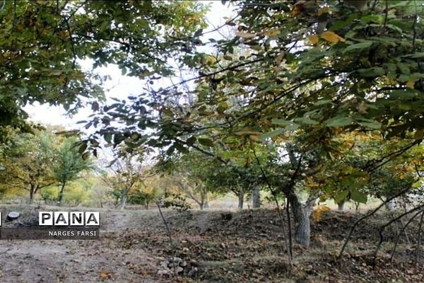 طبیعت پاییزی در روستاهای الگان و کهندان