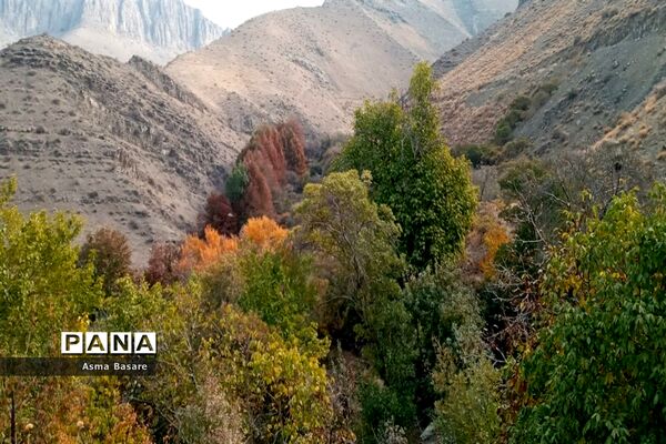 طبیعت طلایی رنگ در همین حوالی