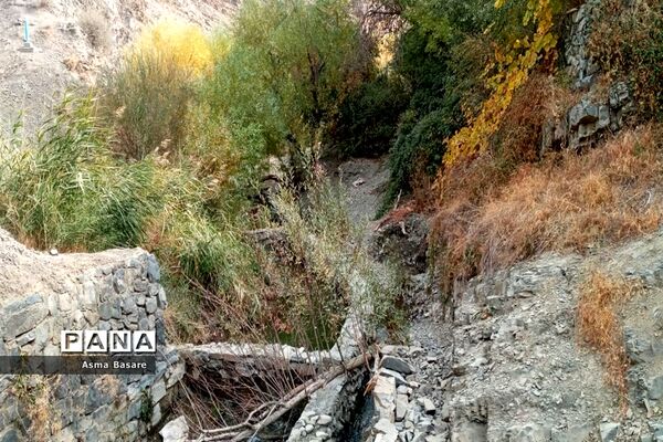 طبیعت طلایی رنگ در همین حوالی