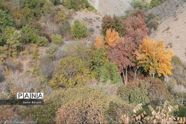 طبیعت طلایی رنگ در همین حوالی