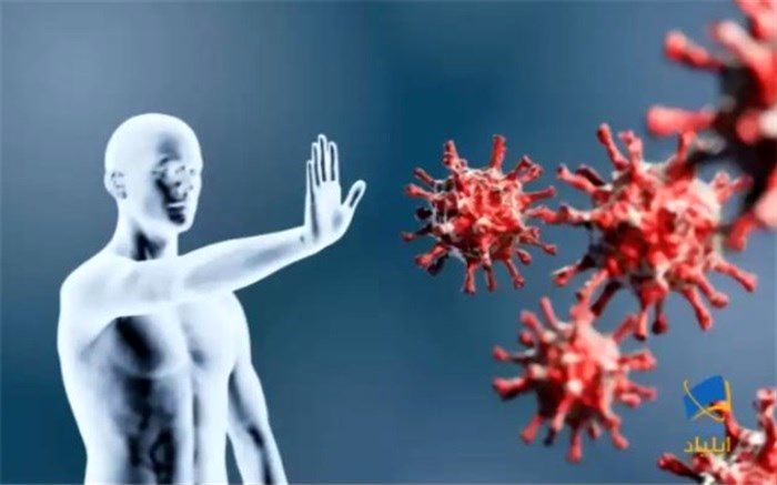 واکسن کرونا در مقابل دیگر کرونا ویروس‌ها نیز موثر است؟