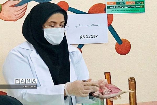 همایش روز آزمایشگاه در پژوهش سرای شهید خوشبخت بوشهر