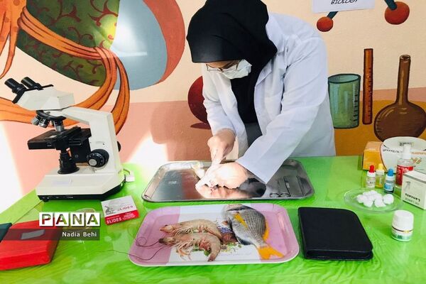همایش روز آزمایشگاه در پژوهش سرای شهید خوشبخت بوشهر