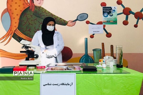 همایش روز آزمایشگاه در پژوهش سرای شهید خوشبخت بوشهر