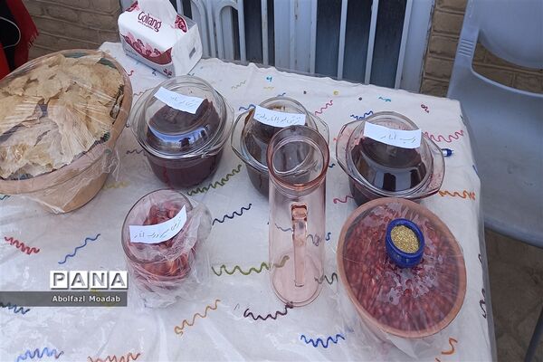 افتتاحیه جشنواره انار آونگی کاشمر