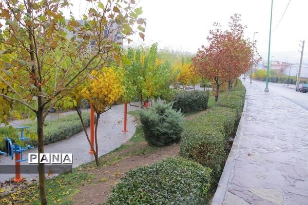 هوای بارانی  پاییز در پردیس