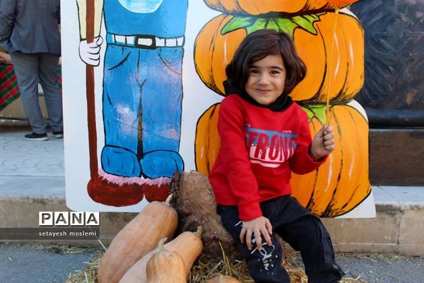 جشنواره بومی و محلی در مازندران