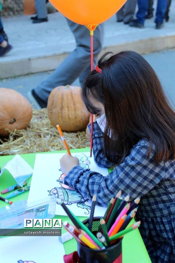 جشنواره بومی و محلی در مازندران