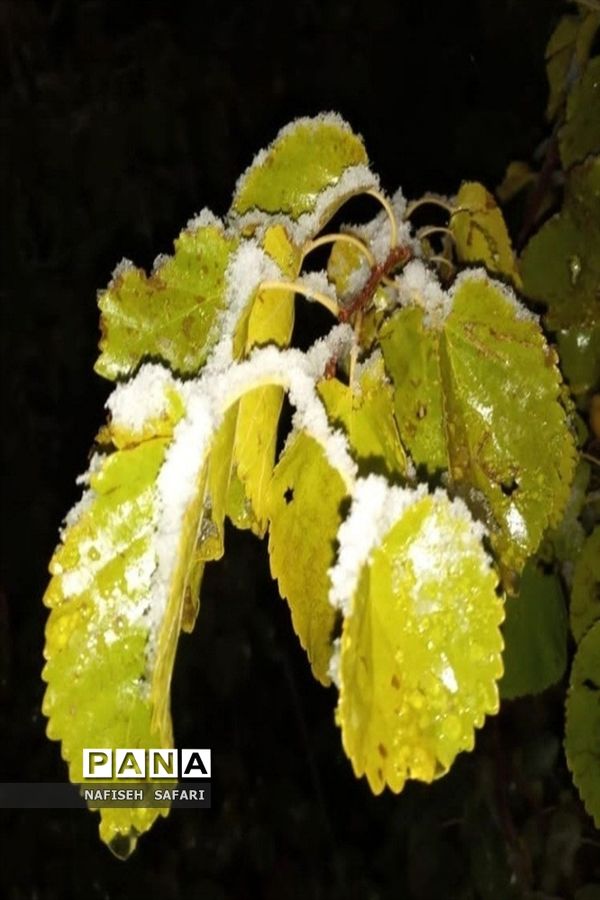 برف در  روستای انجیله