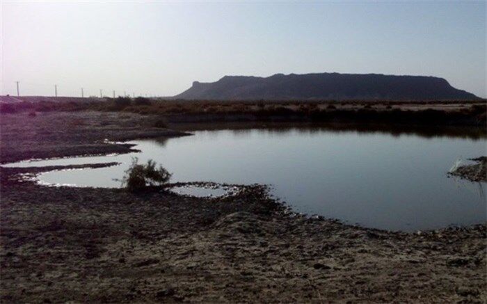 فراخوان اداره کل محیط زیست استان برای نجات تالاب هامون