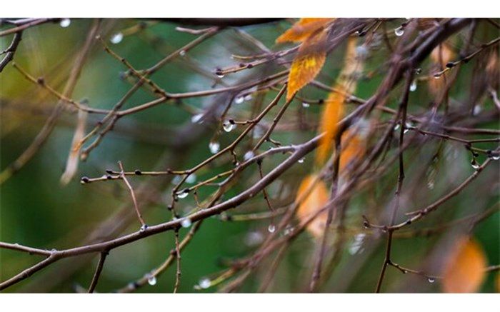 پیش‌بینی بارش باران و برف در گیلان