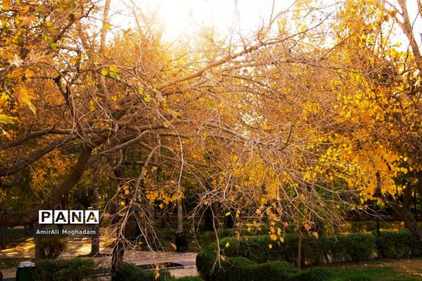 پاییز در مشهد