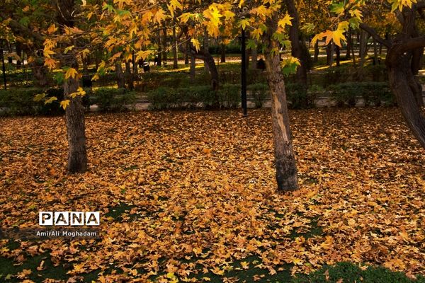 پاییز در مشهد