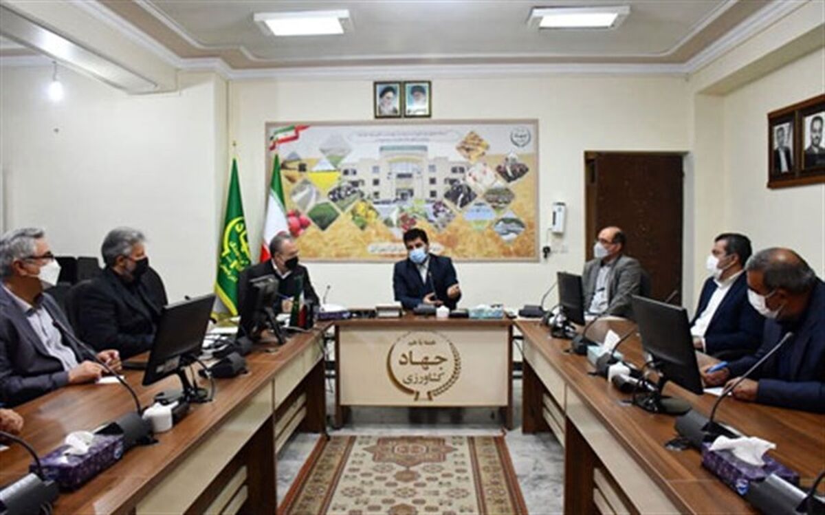راهکارهای افزایش تولید گوشت مرغ در استان آذربایجان شرقی بررسی شد