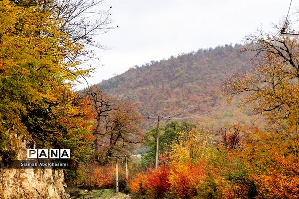 طبیعت پاییزی دودانگه ساری