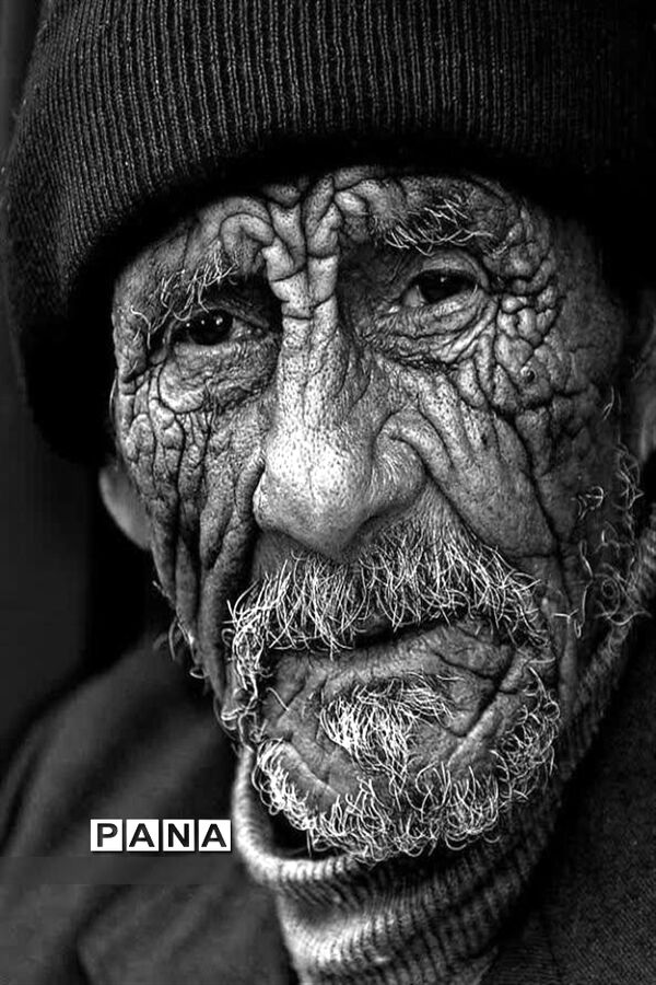 نمایشگاه نقاشی