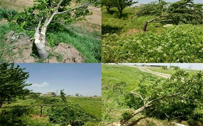 چرا پس از 8 ماه مقصران تخریب باغم را پیدا نمی‌کنند