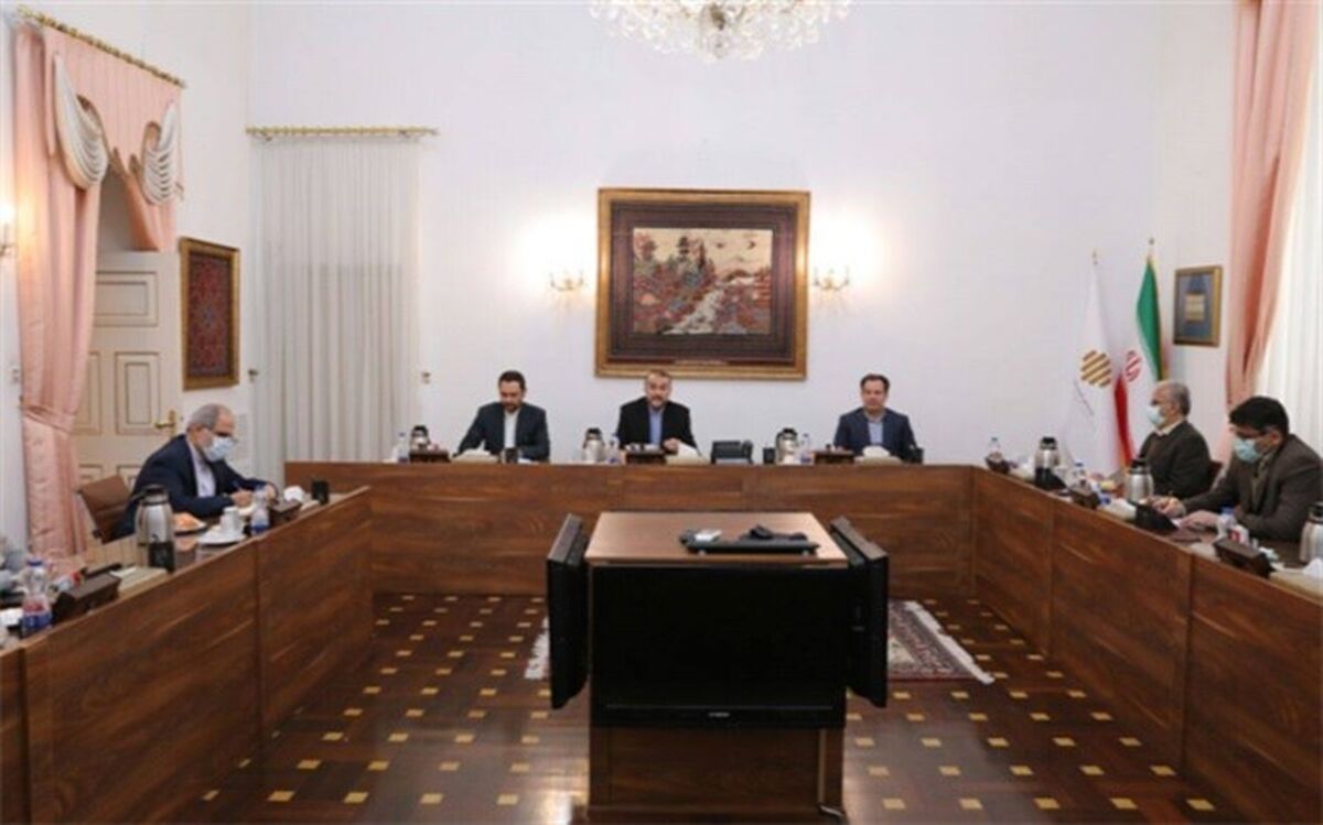 پیگیری وزیر خارجه برای صدور کارت هوشمند ملی ایرانیان مقیم خارج