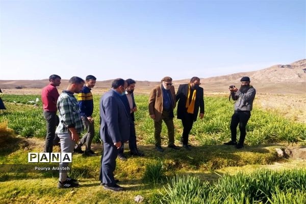 تقدیر از داریوش ارجمند هنرمند پیشکسوت سینما و تلویزیون در فرمانداری شهرستان خوسف