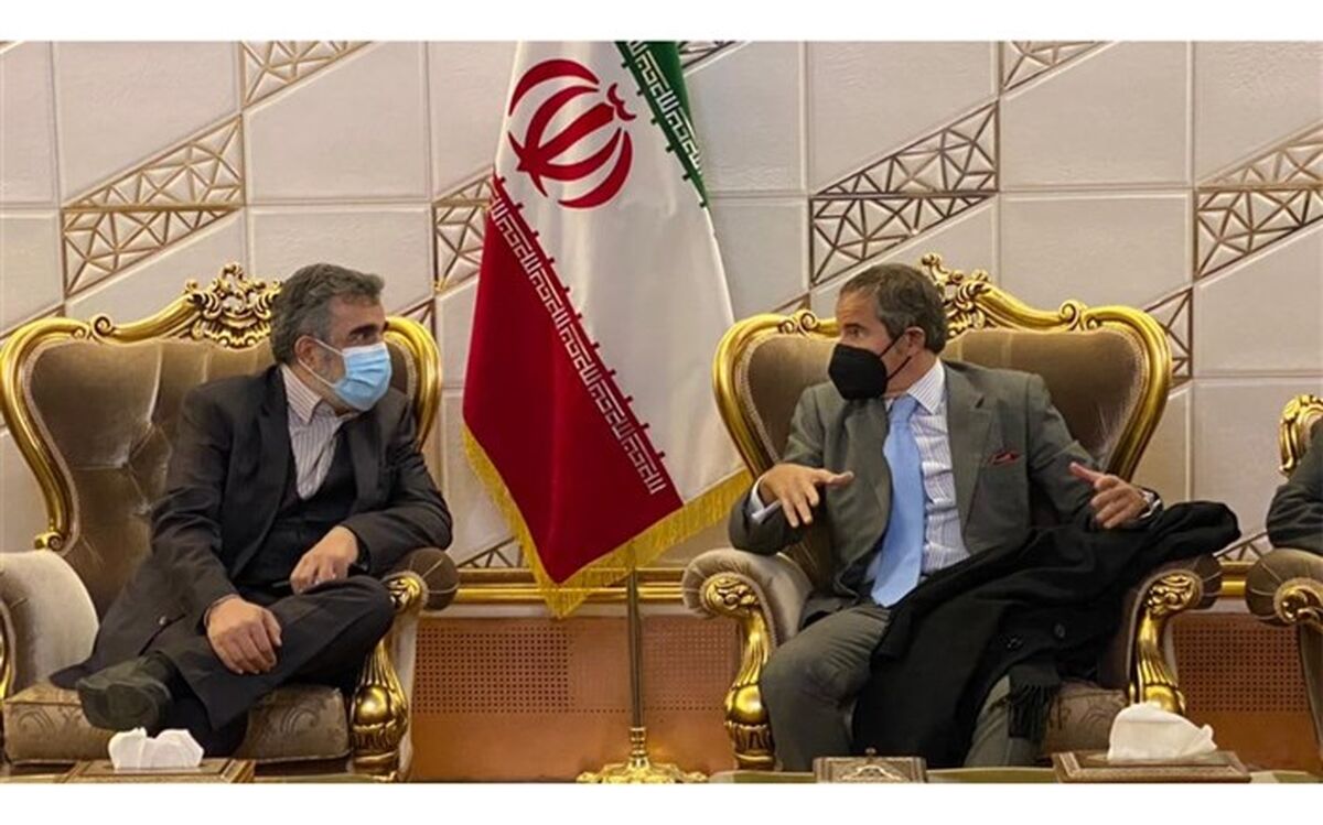 مدیرکل آژانس بین‌المللی انرژی اتمی وارد تهران شد