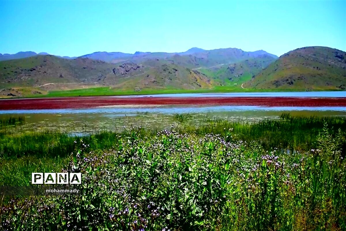 اسناد مالکیت حد نگار شده اراضی ملی نئور تحویل محیط زیست می‌شود